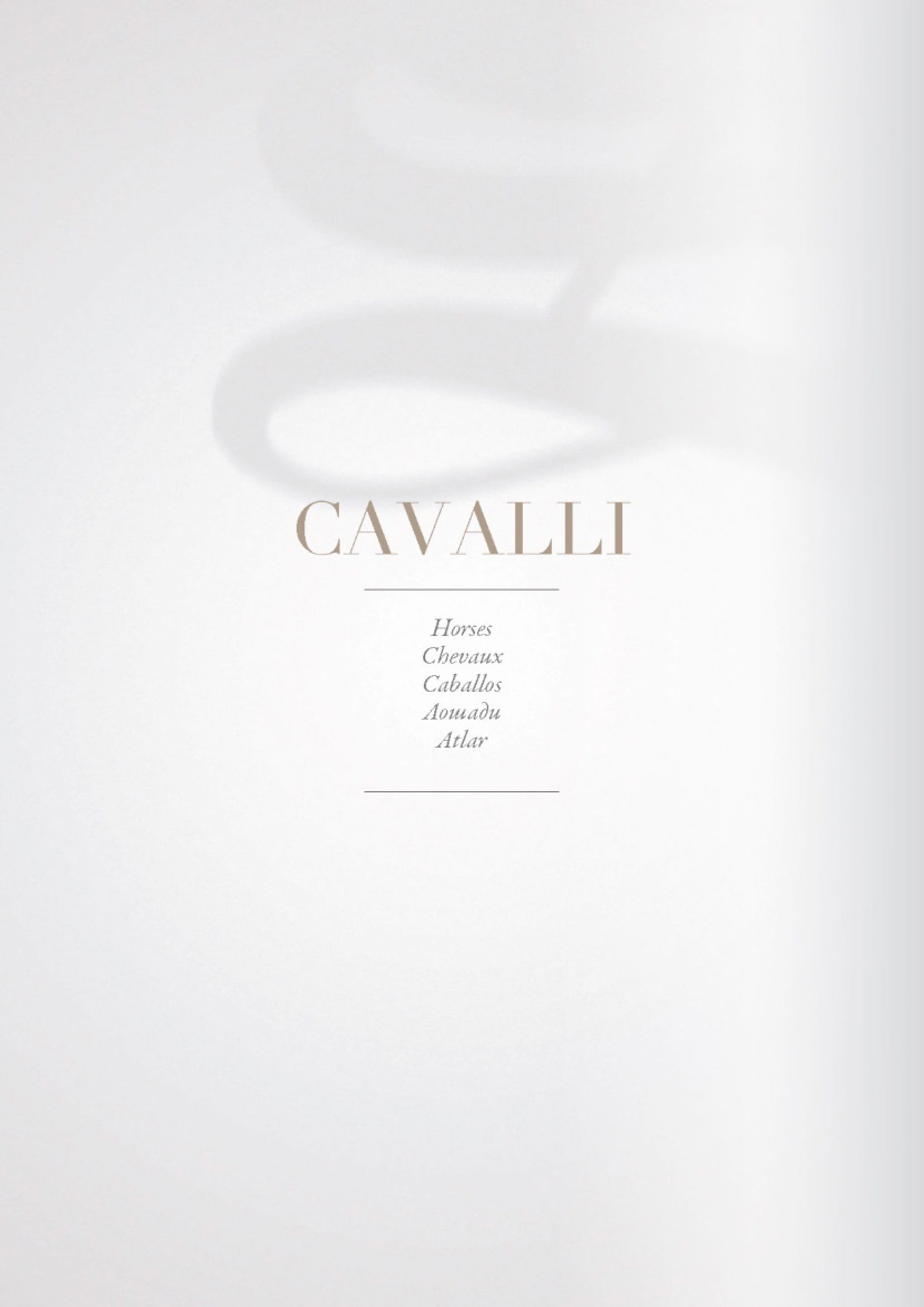 cavalli 2